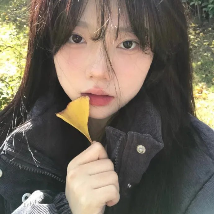 我唯一的拥护者海报