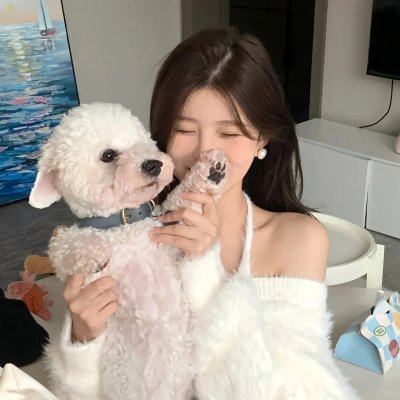 猪就是猪海报