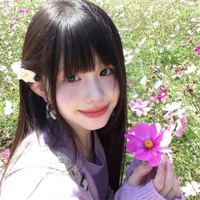 自由鸟海报