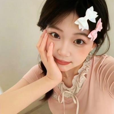 美国派:集体露营海报